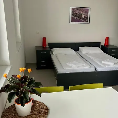 Domus Hostel