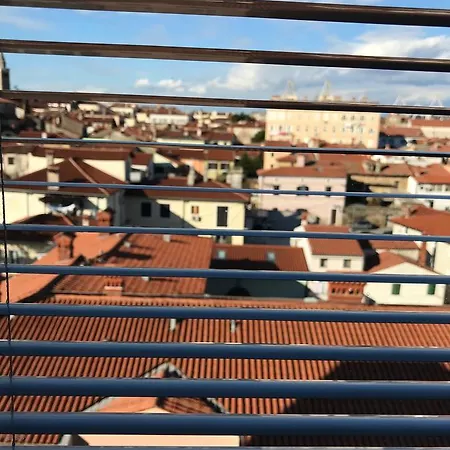 Domus *
