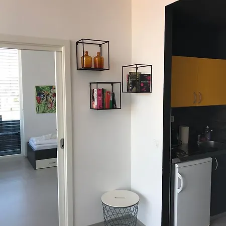 Hostel Domus