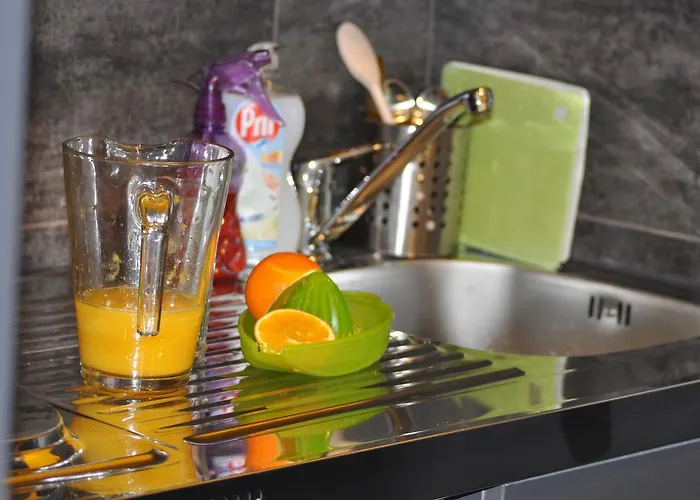 호스텔 도무스 *