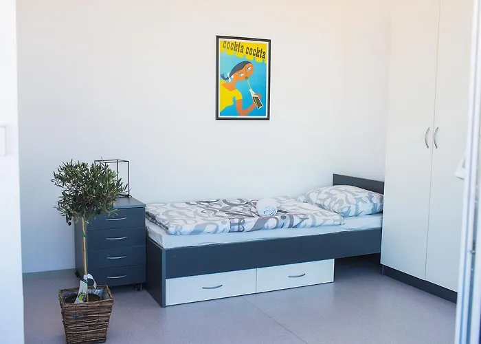 旅馆 多莫斯别墅旅舍 *