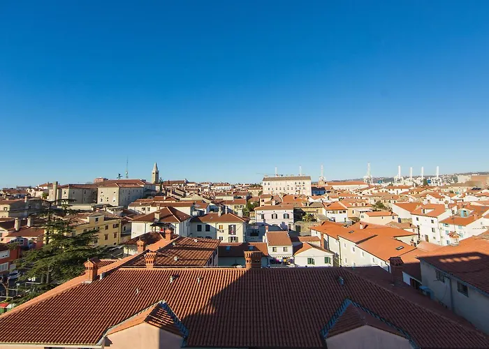 旅馆 多莫斯别墅旅舍 *