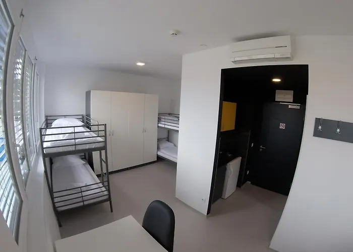 도무스 * 코페르